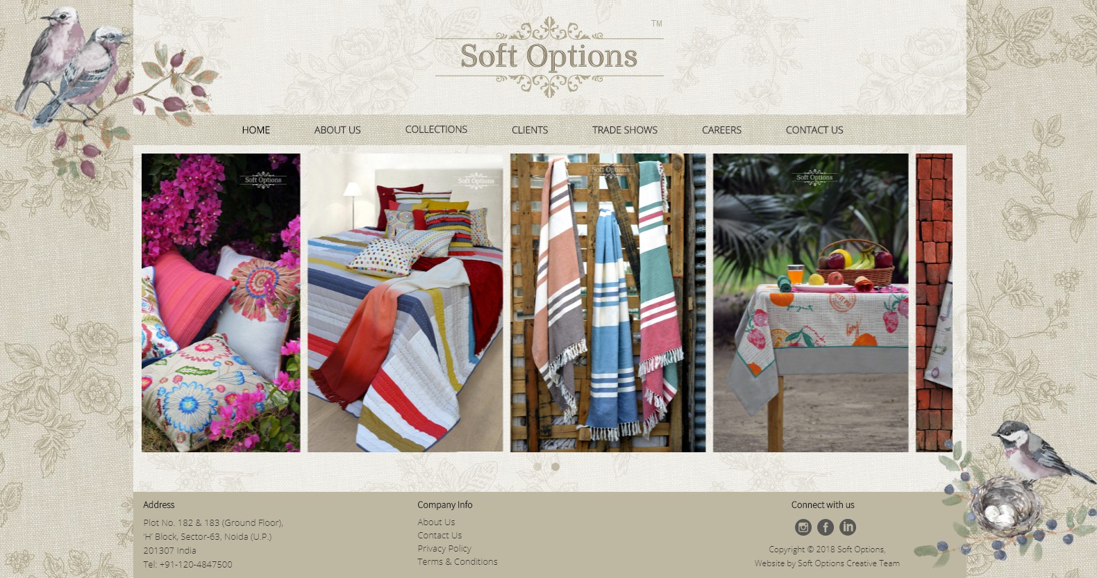 Soft Options Wizard Concepts Web Design Agency New Delhi India